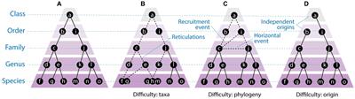 A critical analysis of the current state of virus taxonomy